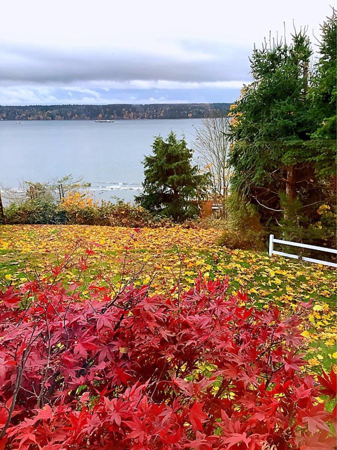 Ocean'S Edge Suite Campbell River Εξωτερικό φωτογραφία